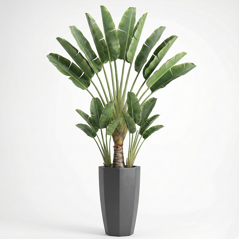 Ficus Lyrata Tree - Ficus Lyrata Artificiel Hautement Réaliste en