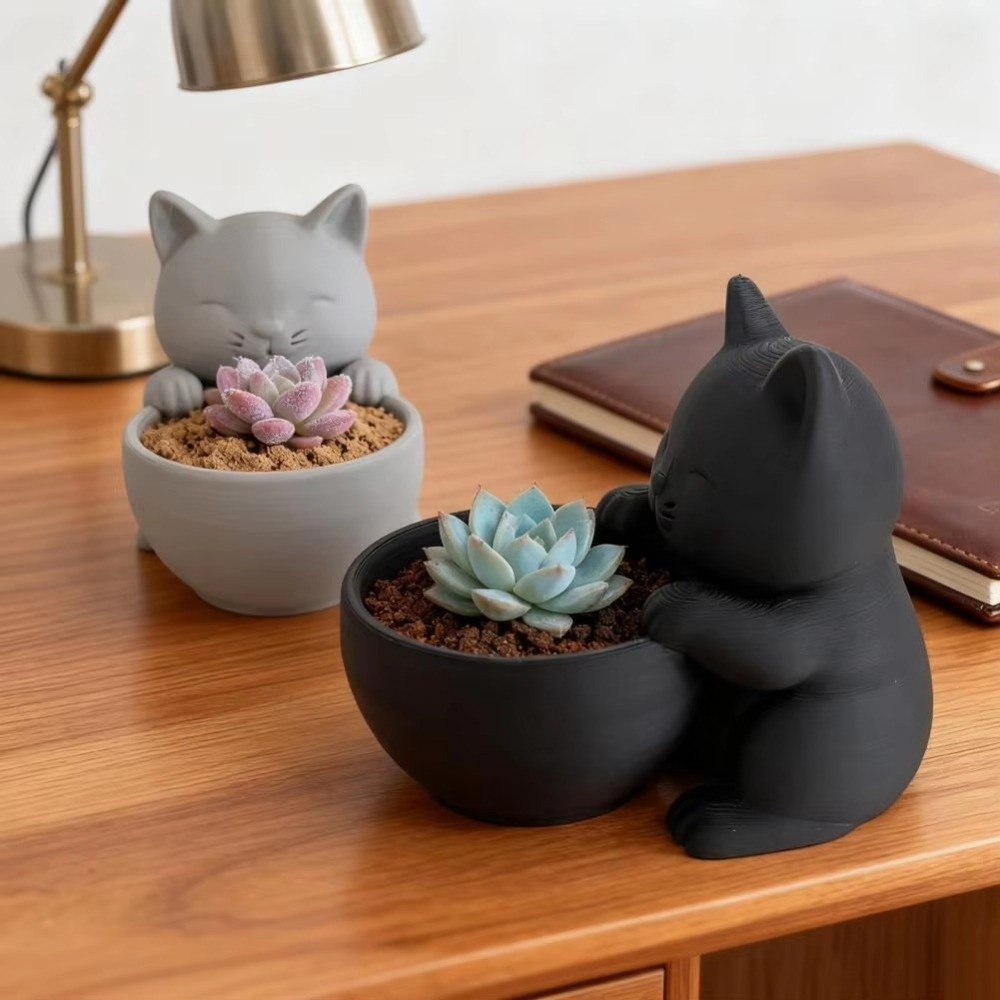 Echeveria Succulent - Mini pot de fleurs avec trous
