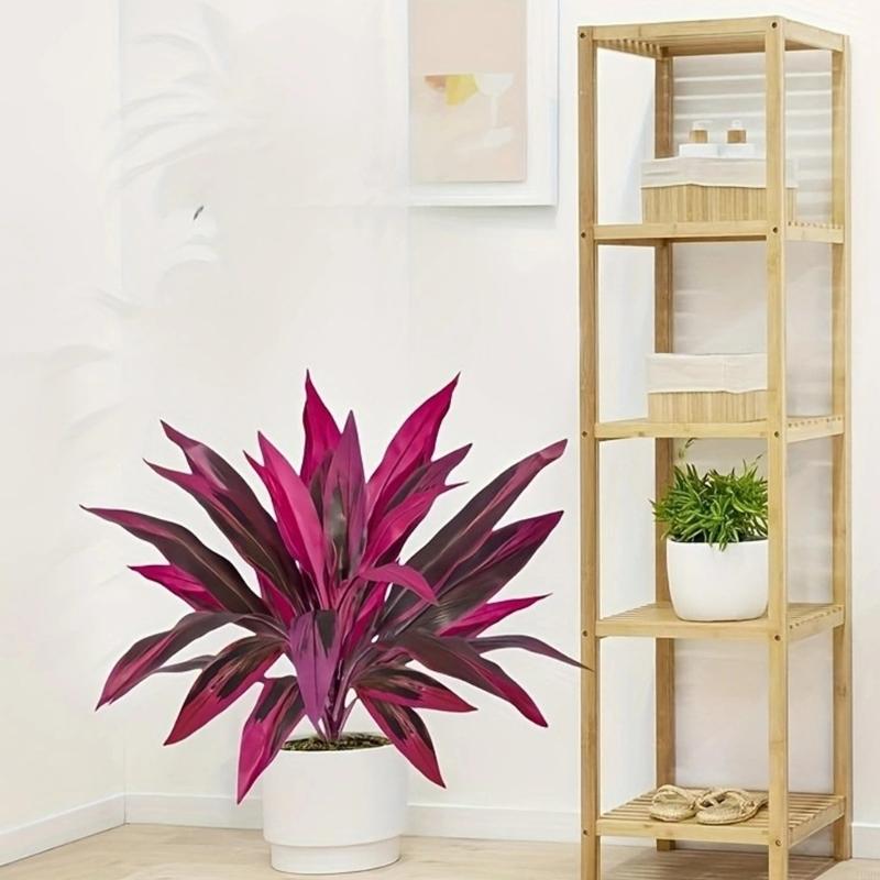 Plante artificielle Dracaena M - Dracaena Marginata avis et prix