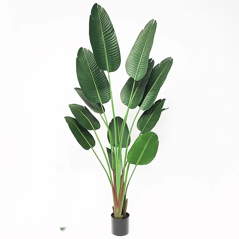 Plantes vertes artificielles d - Bird Paradise Strelitzia avis et prix