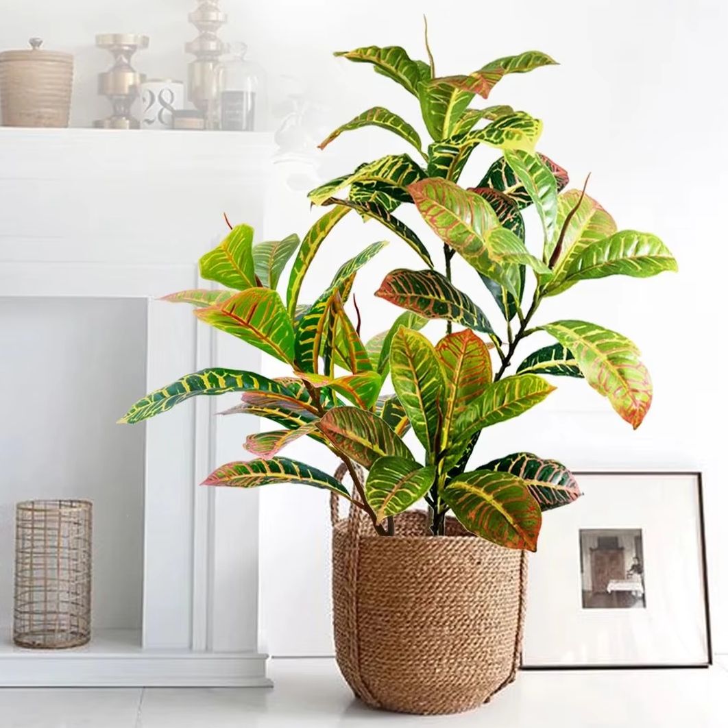 Plante artificielle 21-120cm,  - Dracaena Marginata avis et prix