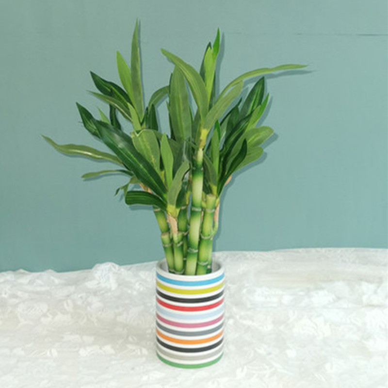 Nouveau 40cm rFtificial chance - Echeveria Succulent avis et prix
