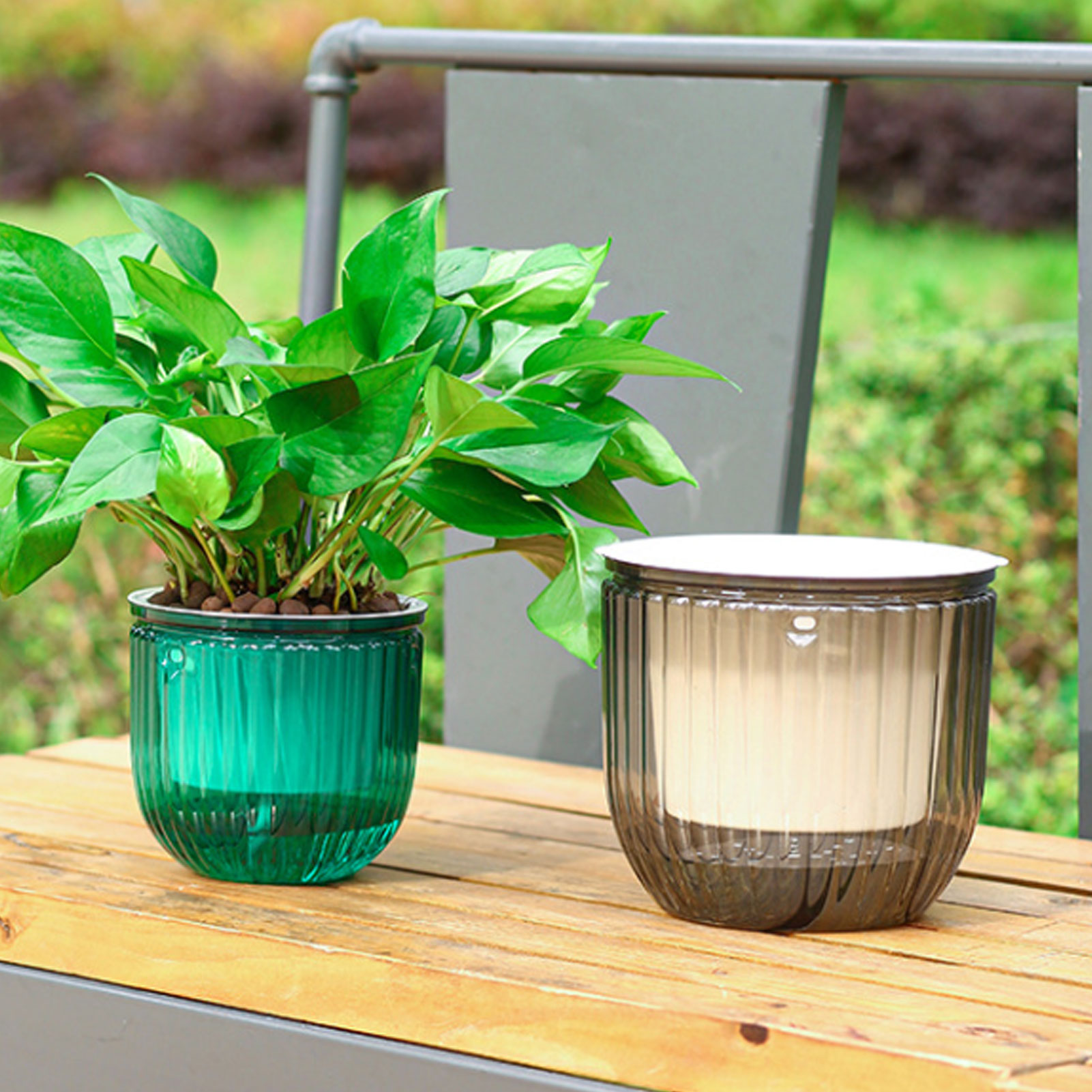 Pots de plantes à arrosage aut - Spider Plant Hanging avis et prix