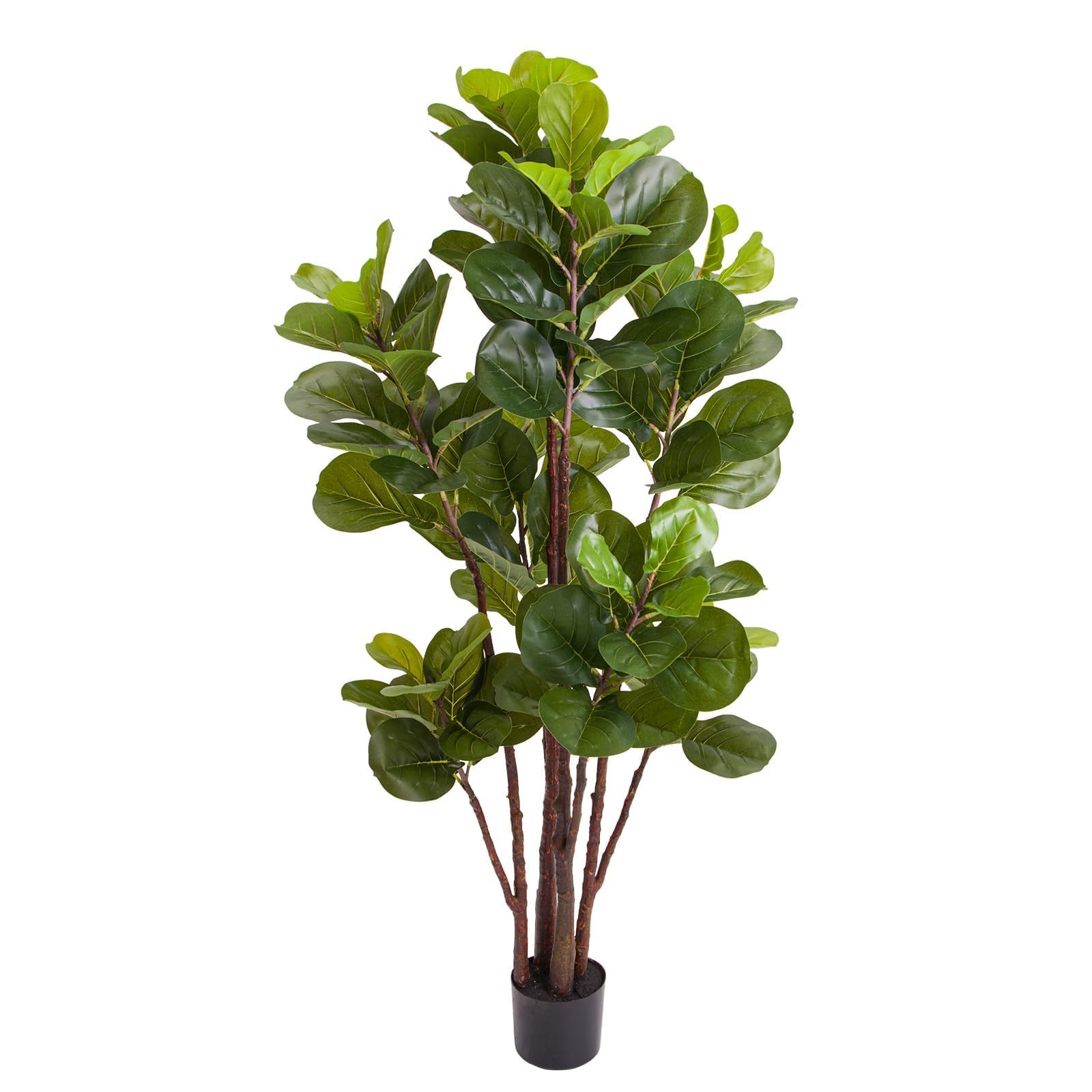 Ficus Lyrata Artificiel, Plant - Ficus Lyrata Tree avis et prix