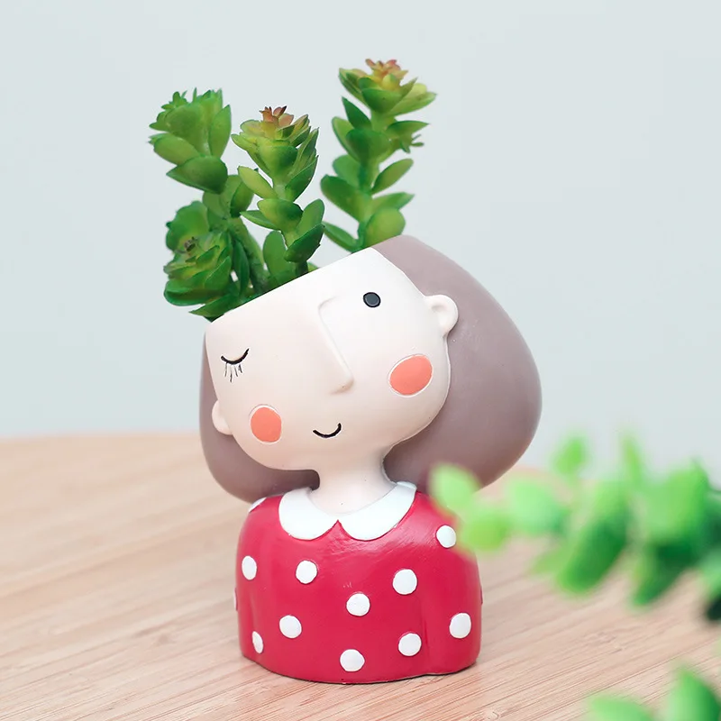 Pot de fleur pour fille succul - Echeveria Succulent avis et prix