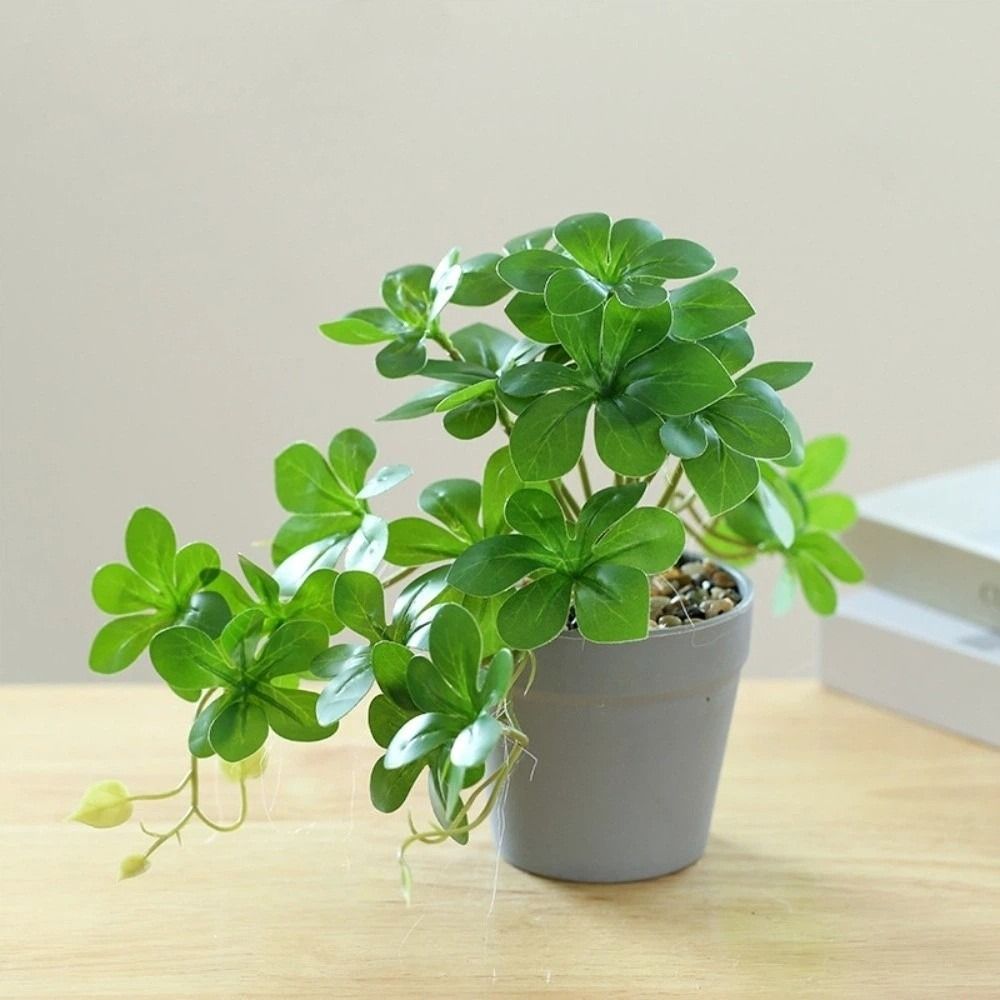 Bonsaï artificiel, plante arti - Spider Plant Hanging avis et prix