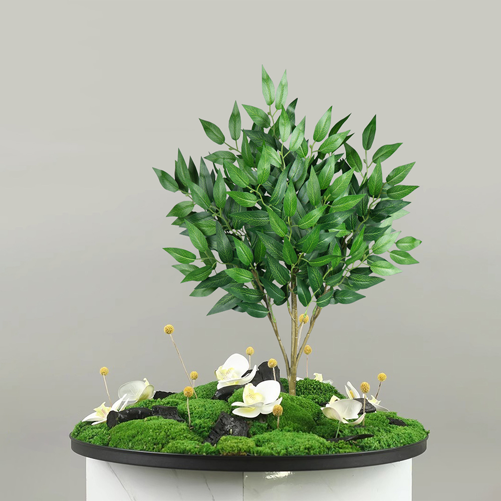Plantes d'eucalyptus artificie - Dracaena Marginata avis et prix