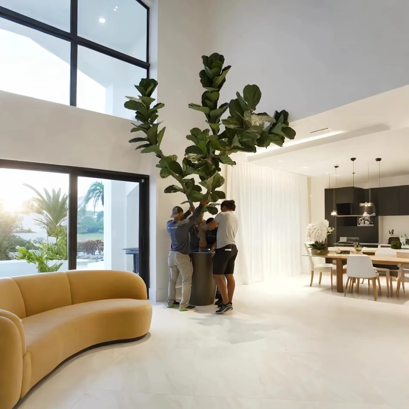 Plantes artificielles plante e - Ficus Lyrata Tree avis et prix