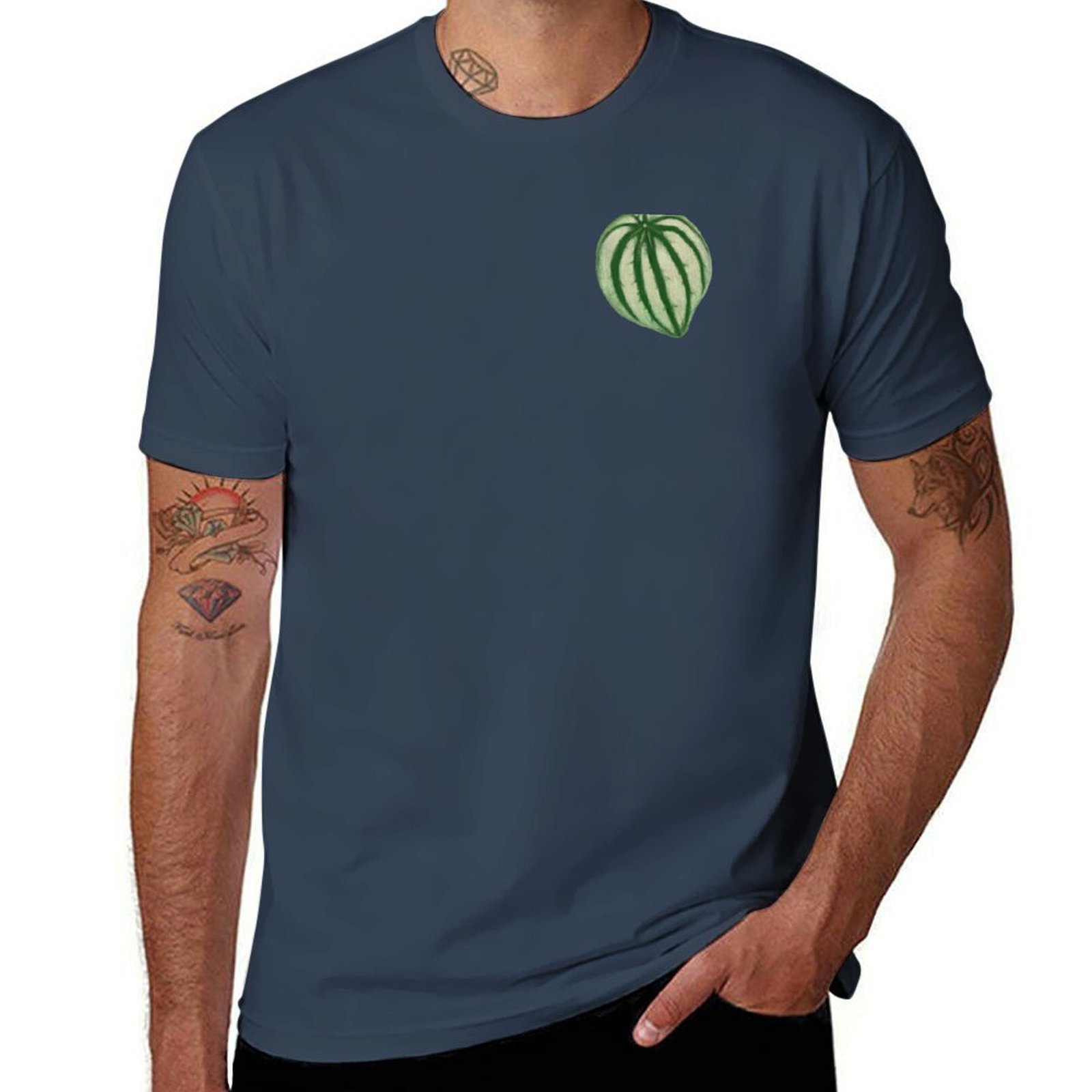 T-shirt Peperomia Watermelon a - Peperomia Watermelon avis et prix