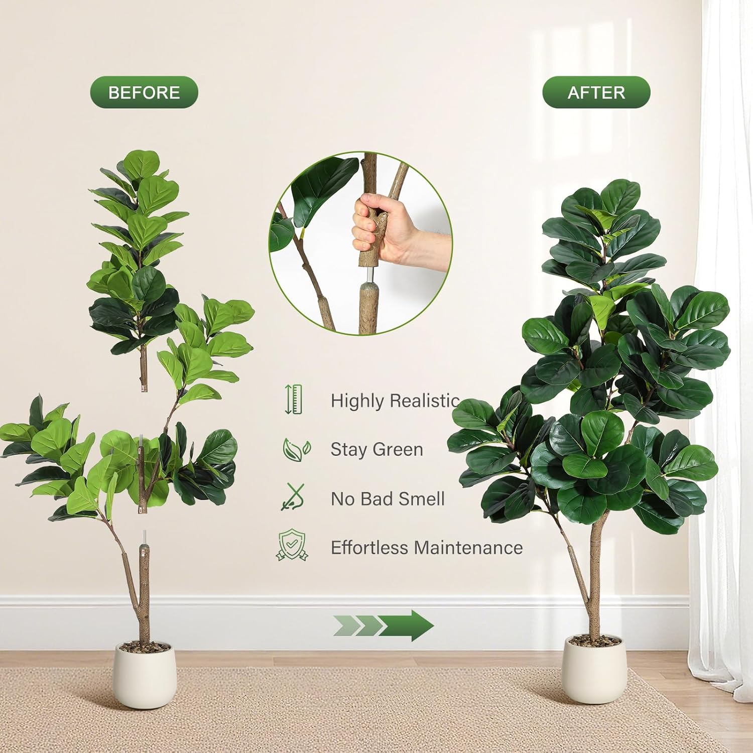 Arbre de figue en feuille de v - Ficus Lyrata Tree avis et prix