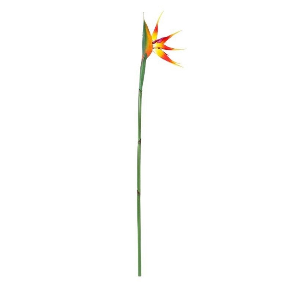 Nouvelles plantes artificielle - Bird Paradise Strelitzia avis et prix