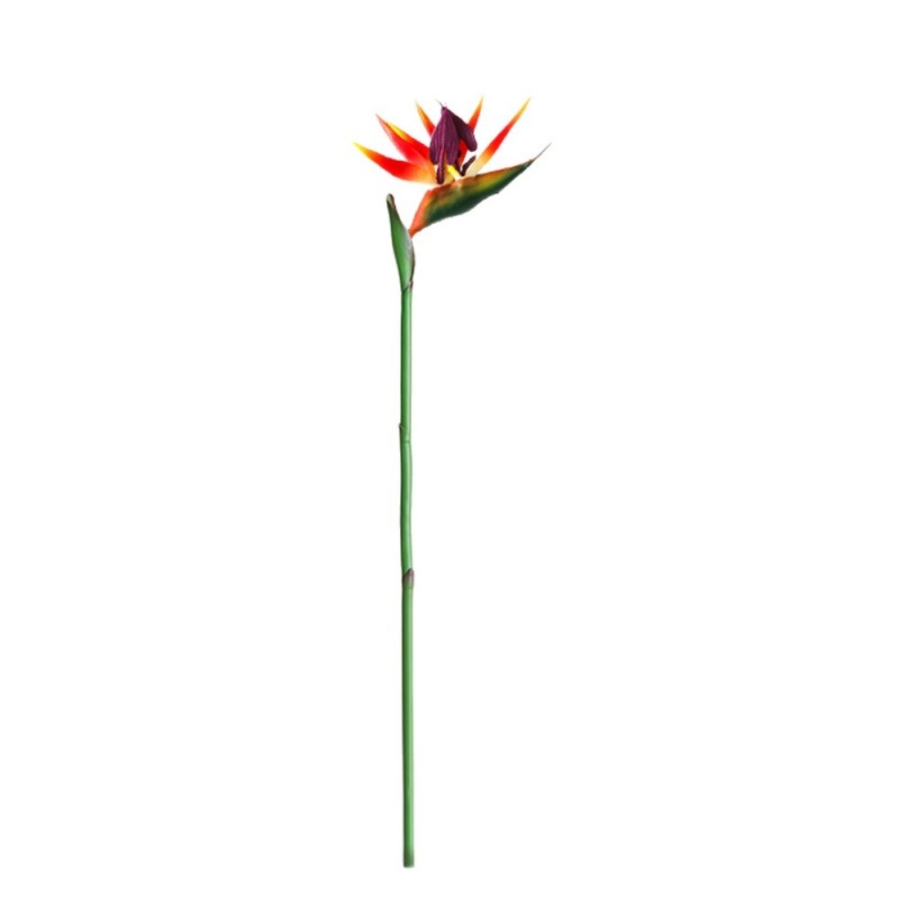 Nouvelles plantes artificielle - Bird Paradise Strelitzia avis et prix