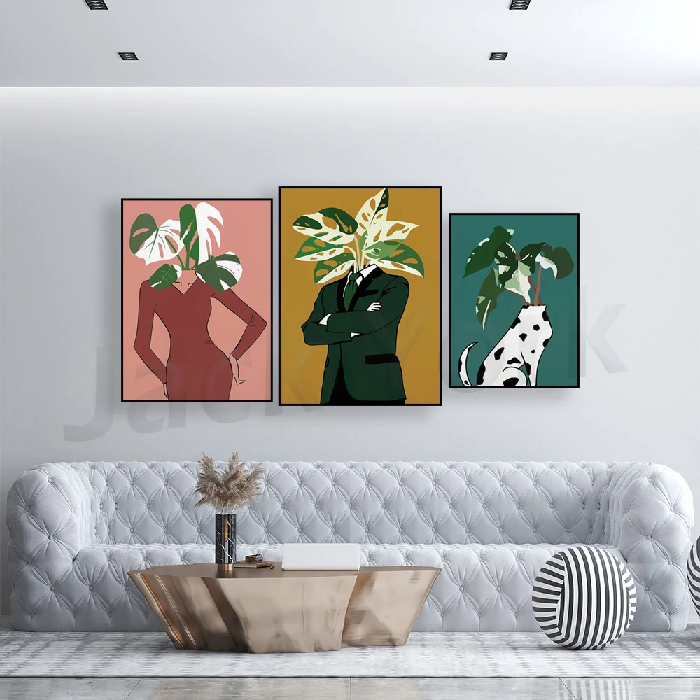 Monstera Albo dans une affiche - Monstera Adansonii avis et prix