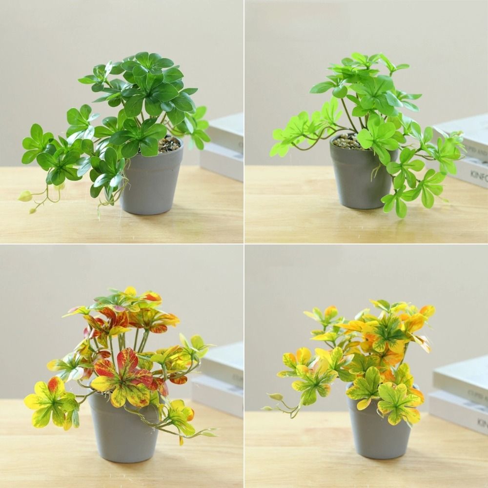 Bonsaï artificiel, plante arti - Spider Plant Hanging avis et prix