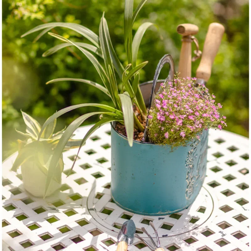 Mir de fleurs d'art en fer vie - Spider Plant Hanging avis et prix