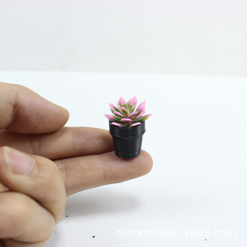 Mini plantes simulées Cactus,  - Echeveria Succulent avis et prix