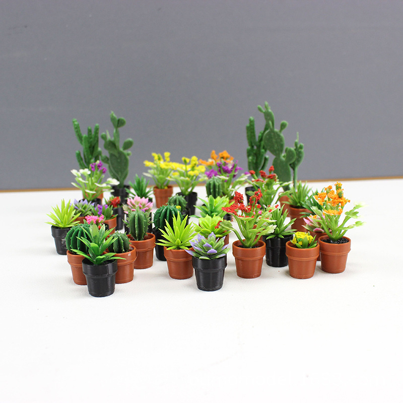 Mini plantes simulées Cactus,  - Echeveria Succulent avis et prix