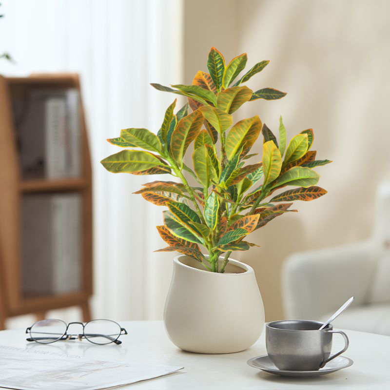 Plantes artificielles 24-41cm, - Ficus Lyrata Tree avis et prix