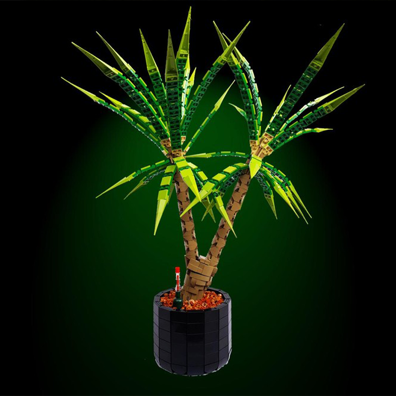 1961 pièces MOC Dracaena Margi - Dracaena Marginata avis et prix