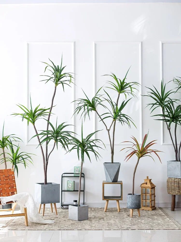 Plante de Simulation Dracaena  - Dracaena Marginata avis et prix