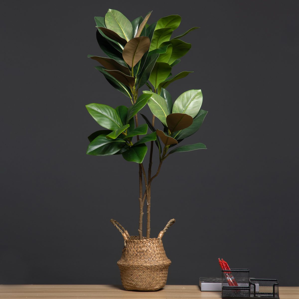 Grands plantes artificielles d - Dracaena Marginata avis et prix