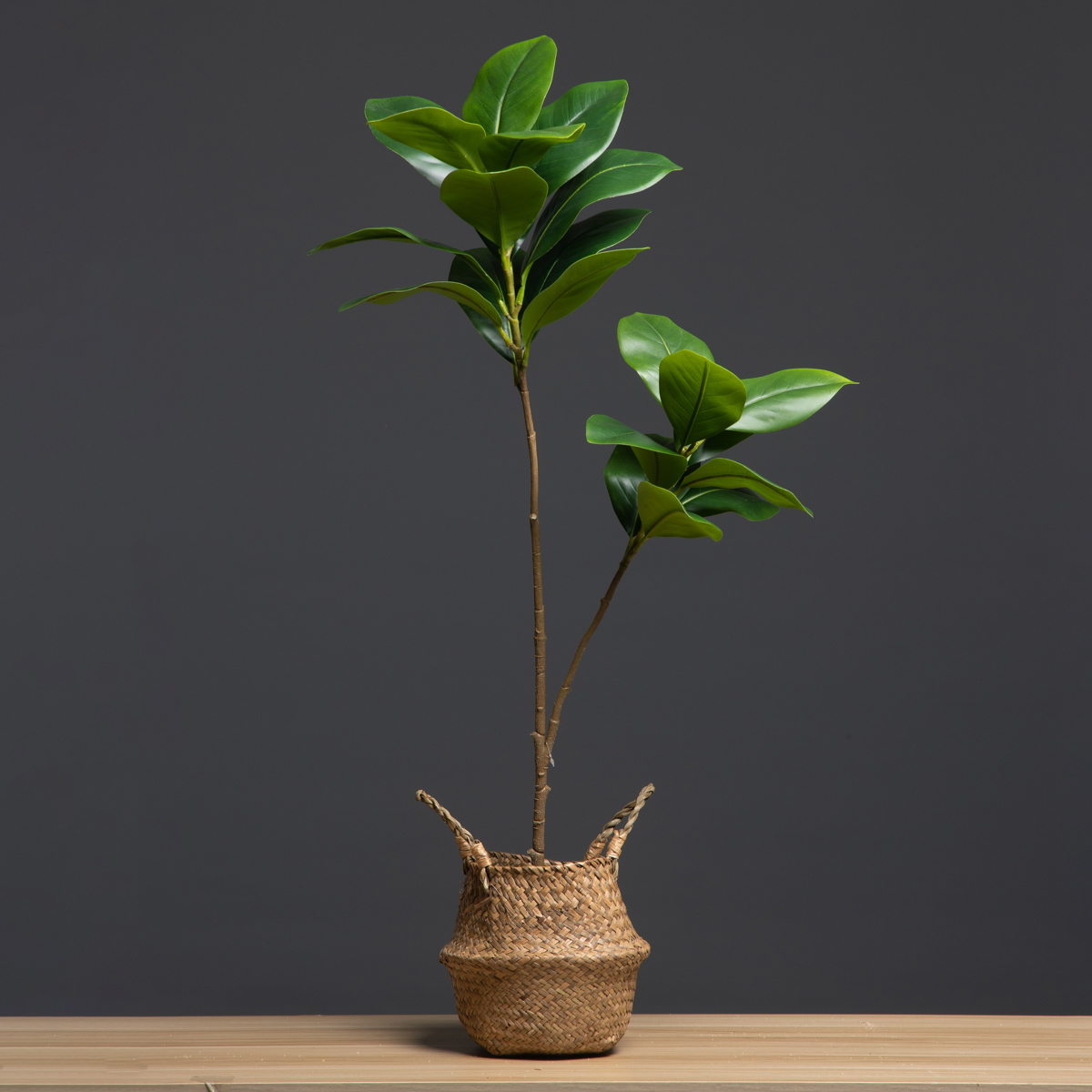 Grands plantes artificielles d - Dracaena Marginata avis et prix