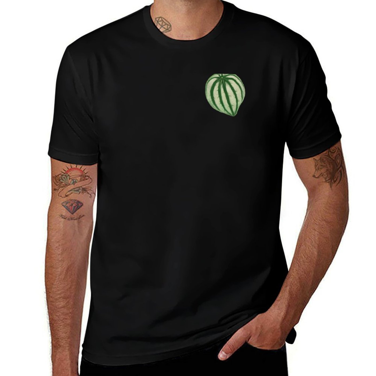 T-shirt Watermelon Peperomia,  - Peperomia Watermelon avis et prix