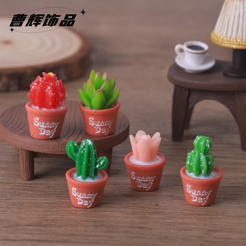 Simulation de plantes succulen - Echeveria Succulent avis et prix
